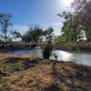 Our Pond