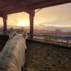 A ride in one of our covered arenas