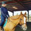 We have lessons horses for every rider.