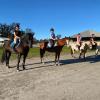 Our collegiate team in a lesson