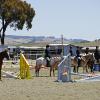 Our summer show series is a great way to step into the show ring for first timers and seasoned riders.