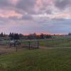 We have spacious turnouts and a great gallop track available.