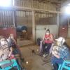 Learning the Parts of the Bridle