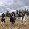 We offer group and private lessons.