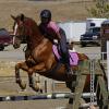 Reach new heights with your horse.